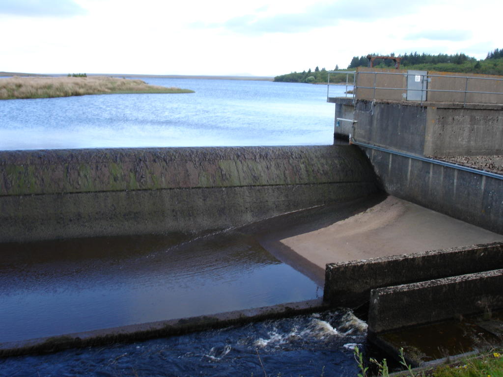 An image of a Fish Pass system next to a Dam wall