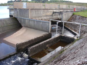A Fish Pass on a Scottish Loch